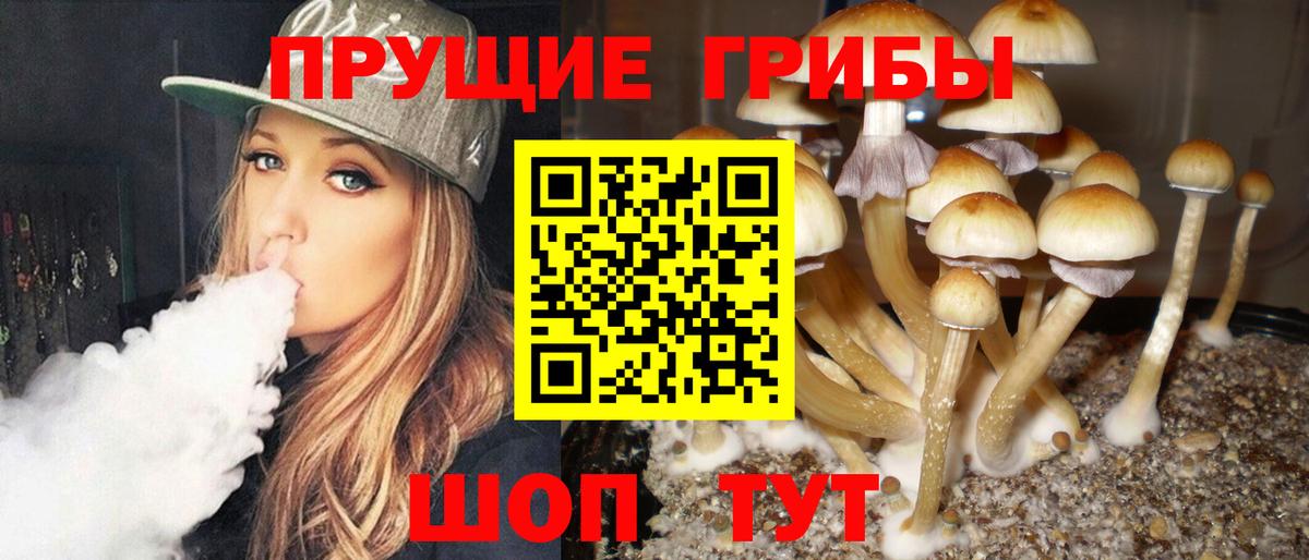 Псилоцибиновые грибы Cubensis  Вход с VPN  где купить   Трёхгорный 